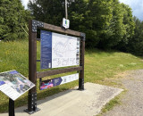 Image de section